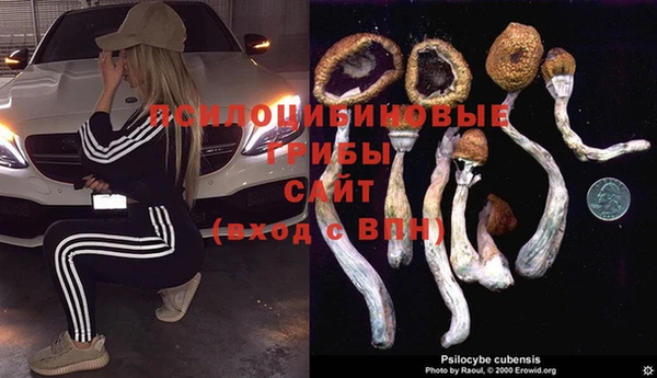 гашиш Волосово